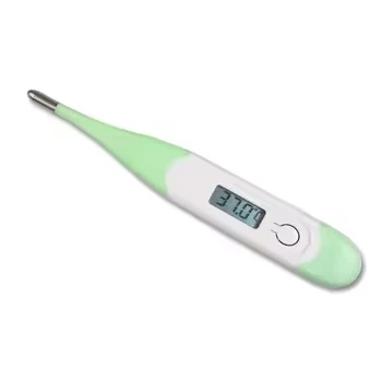 Digital Temperature Gauge
